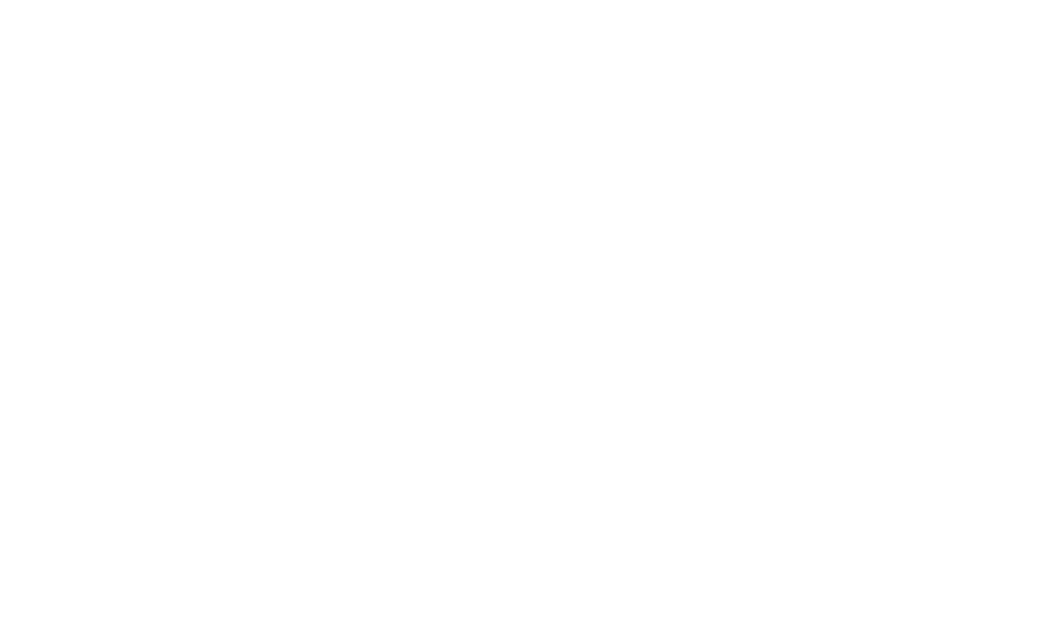 GP Automatic